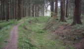 Tour Zu Fuß Clausthal-Zellerfeld - HK 4: Neckelnberg, Seesen - Bad Grund - Wildemann - Langelsheim - Photo 8