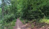 Randonnée Marche Sprimont - dans les bois au nord de Banneux - Photo 8