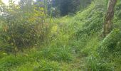 Trail Trail Petit-Bourg - Ira - Photo 2
