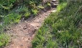 Trail Walking Collonges-la-Rouge - colonge - Photo 13