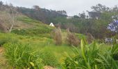 Tour Wandern Prazeres - Paul do Mar - Levada nova - Photo 1