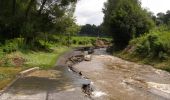 Randonnée A pied Frýdlant - Městský okruh - červená - Photo 10