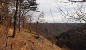 Trail Walking Hamoir - trek GR57 jour 4 : Hamoir - Bomal-sur-Ourthe - Photo 18