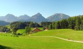 Excursión A pie St. Wolfgang im Salzkammergut - Wanderweg 27 - Photo 9