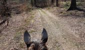 Trail Horseback riding Florenville - Les Epioux  - Photo 10