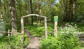 Tour Wandern Breda - Breda Mastbosch 24,8 km - Photo 10