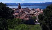 Tour Wandern Saint-Tropez - St Tropez 07-05-21 - Photo 13