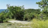 Tocht Stappen Mirabel-et-Blacons - Chapelle Saint-Christophe - Charsac - Photo 14