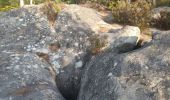 Randonnée Marche Fontainebleau - Fontainebleau : gorge et platière d'Apremont - Photo 2