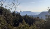 Trail Walking Bayons - BAYONS  . col des Sagnes , Peyrouret , Picouse , bergerie de Gautiere , Piaure , Giaire n - Photo 14