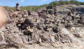 Tour Wandern La Trinité - Presqu'île de la caravelle  - Photo 11