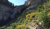 Trail Mountain bike Garde-Colombe - Pas du Colombier - Photo 15