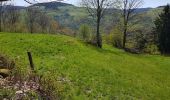 Tour Wandern Woll - Montagne Lama - La Bresse  - Photo 8