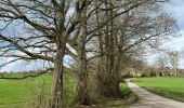 Tour Wandern Érezée - Briscol - Photo 2