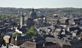 Randonnée Marche Profondeville - RL-GG-19 - Lustin - Namur - 2025-02-11 - Photo 1