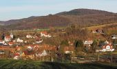 Excursión A pie Hofbieber - Milseburg-Malerrundweg - Photo 8