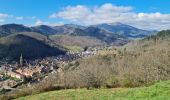 Trail Walking Vieux-Thann - Rando Marcheurs..27/03/2025.. - Photo 10
