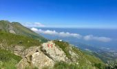 Excursión A pie Cogoleto - Prato Rotondo - Passo del Faiallo - Photo 6