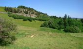 Randonnée Marche Landeyrat - Cantal - Landeyrat - La Roche - 12km 180m 3h35 - 2019 06 28 - Photo 3