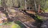 Trail Walking Spa - de la Sauveniere à la Reine, autour de Malchamps  - Photo 20