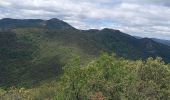 Tocht Stappen Soudorgues - Vallée Salindrenque - Photo 15