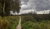 Trail Walking Borgloon - randonnee de l eglise fantôme  (doorkijkkerkje) - Photo 10