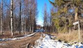 Trail On foot Äänekoski - Laulava Mörön Polku - Photo 4