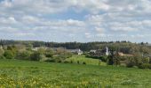 Tour Wandern Somme-Leuze - Nettinne - Source de la Somme - Photo 16