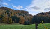 Trail Walking La Bourboule - Bourboule-puy-st-roch-retour-Bourboule - Photo 8