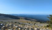 Trail Walking Beaumont-du-Ventoux - Mt Serein - Cachillan - Photo 5