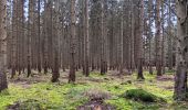 Trail Walking Aywaille - sedoz - vert-buisson (via ninglinspo) - porallée - vieux chera - sedoz - Photo 6