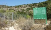 Excursión A pie Beit Shemesh - IL-9333 - Photo 6