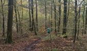 Trail Walking Yvoir - GODINNE ... balade des feuilles mortes. - Photo 6