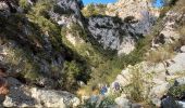 Tour Wandern Ollioules - 2021 10 20 les gorges de la Destel - Photo 9