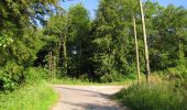 Tour Wandern Choisy-au-Bac - en forêt de Laigue_7_06_2020_sur les routes de la Fontaine à Baril_Belle Assise_Plessis-Brion_chemin de Voie d'Eau - Photo 1