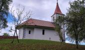 Excursión A pie Škofljica - Pijavška barjanska pot - Photo 1