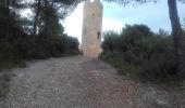 Excursión Senderismo Saint-Marc-Jaumegarde - Saint-Marc-Jaumegarde-Tour de César - Photo 1