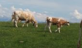 Randonnée Marche Droisy - MONTAGNE DES PRINCES: Départ de Droisy / Passage sud sous les falaises - Photo 1