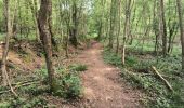 Tour Wandern Soucy - Petite promenade dans la forêt de SOUCY  - Photo 1