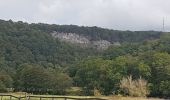 Randonnée Marche Esneux - Hony - La Roche aux Faucons - Esneux - Photo 10