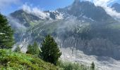 Excursión Senderismo Chamonix-Mont-Blanc - Chamonix : Montenvers-Aiguille du Midi - Photo 13