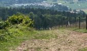 Tour Wandern Durbuy - Geocaching : claivallienne 14 caches - Photo 2