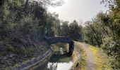 Tour Wandern Montauroux - Gorges de la Siagne - Photo 12