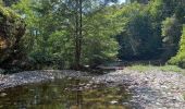 Trail Walking Saint-Martin-de-Boubaux - Galeizon rando semi aquatique  - Photo 1