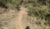 Randonnée Marche Les Arcs-sur-Argens - font du loup vers taradeau les arcs - Photo 8