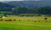 Tour Wandern Hotton - Promenade Hotton - 8- La Porte Aïve - Photo 4