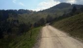 Randonnée Marche Wasserbourg - Tour du Petit Ballon et des fermes auberges - Photo 1