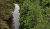 Excursión Bici de carretera Langogne - NAUSSAC - CHAPEAUROUX - Photo 6