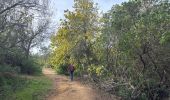 Tour  Tanneron - Tanneron - Photo 2