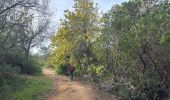 Percorso  Tanneron - Tanneron - Photo 2